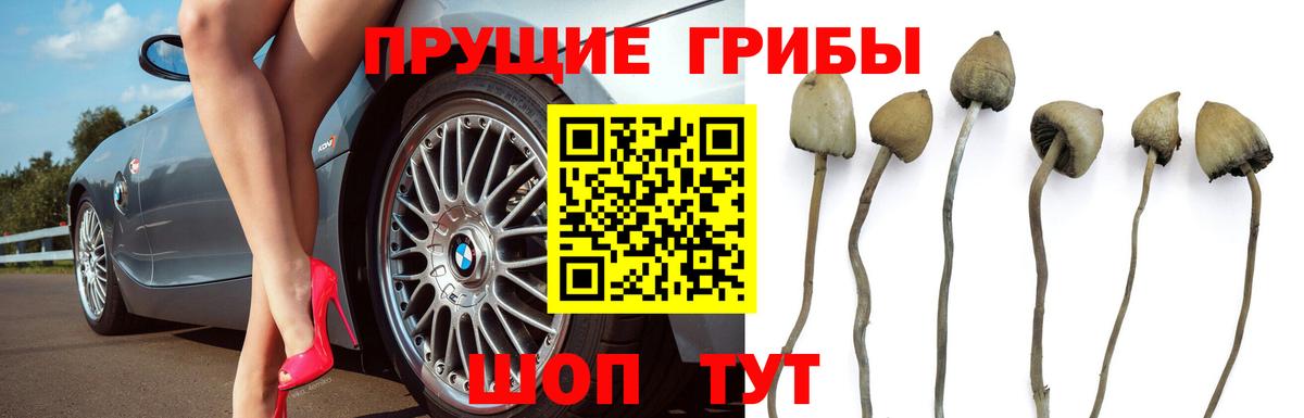 Галлюциногенные грибы мицелий  Вход с VPN  Заволжье 
