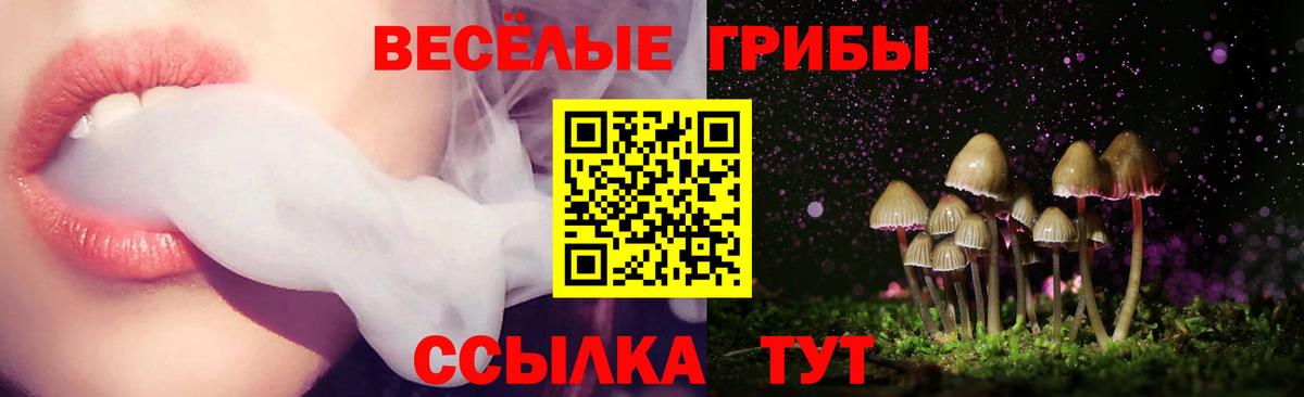 Галлюциногенные грибы прущие грибы Заволжье