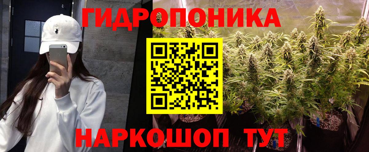 Бошки марихуана VHQ  Конопля гибрид  Вход с VPN  Заволжье  Бошки Шишки индика 